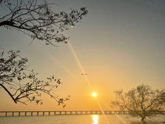 -宝安西湾红树林湿地公园