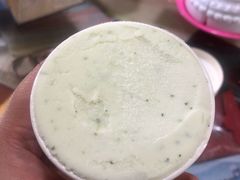 金桔香菜-歎雪糕低糖低脂Gelato冰淇淋