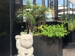 -Hatsune隐泉日式料理(三里屯太古里店)