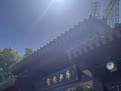 -少华山国家森林公园