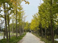 -石家庄市植物园