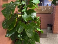 -三江两海老火锅(北京首店)