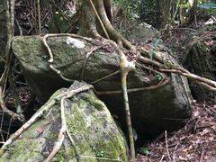 -七仙岭温泉国家森林公园