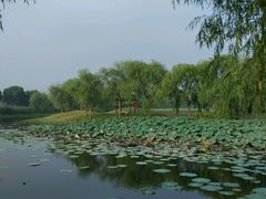 -滨海高尔夫俱乐部