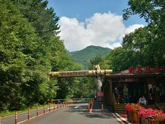 -五女峰国家森林公园