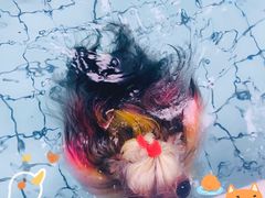 -柚子宠物(伊珊娜调理店)