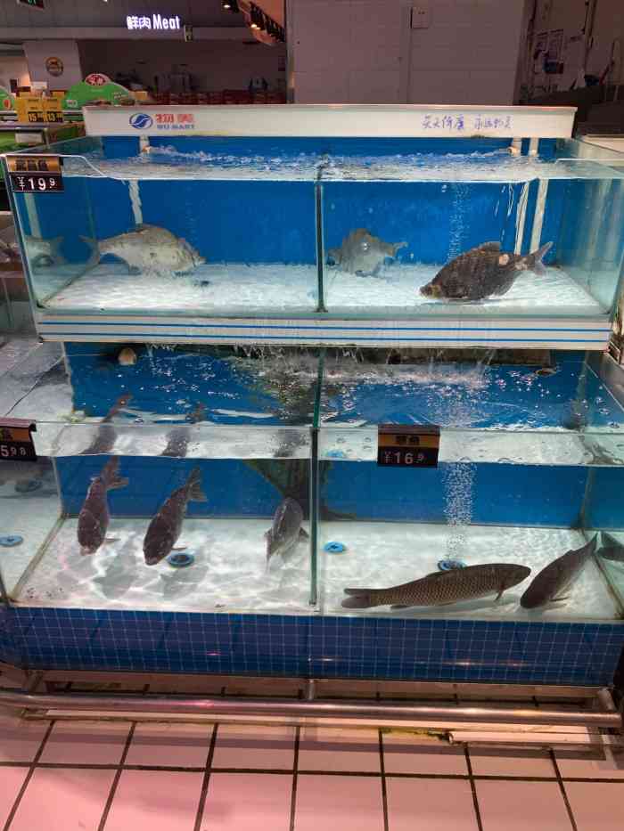 物美(公益西桥店)-"物美(公益西桥店) 这家物美大卖场略显冷.