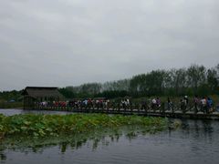 -溱湖国家湿地公园