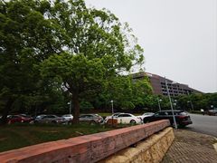 -松山湖凯悦酒店·Café自助餐厅·周末火舞秀表演