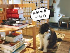 -小时光咖啡馆(开森度假森林店)