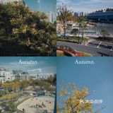 魔都manner苏州河新店‼️超美景观咖啡厅‼️