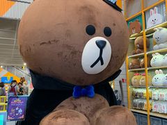 -line friends(明洞旗舰店)
