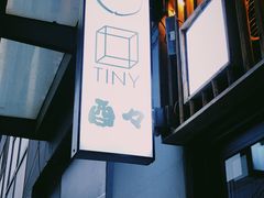 -TINY
