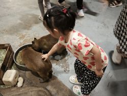 -Zoolung Zoolung动物主题公园(海信广场店)