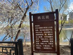 -桃花堤公园