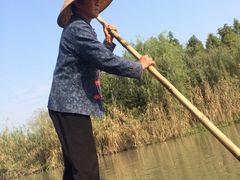 iphone_upload_pic-溱湖国家湿地公园