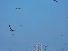 -海驴岛(荣成市)