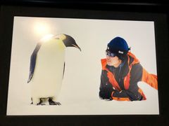 -罗红摄影艺术馆