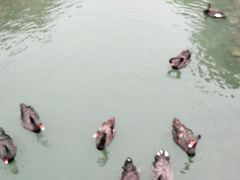 -长白岛森林公园