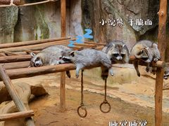 -杭州野生动物世界