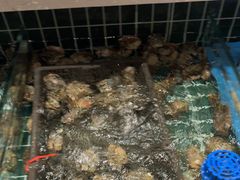 -景芝小炒(虞河路店)