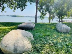 -武清南湖绿博园