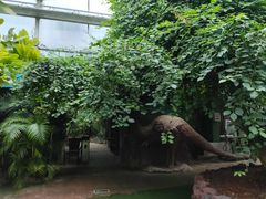 -呀路古热带植物园