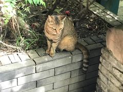 -竹吟山房