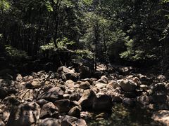 -祁门牯牛降观音堂风景区