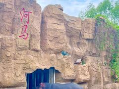 -沈阳森林动物园