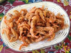 炸河虾-何适山庄 ·可团建(水长城P2停车场店)