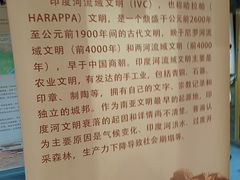 -古陶文明博物馆