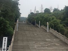 -铁山坪森林公园