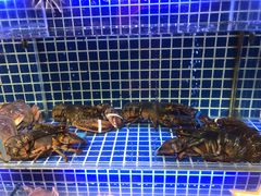 水产区-必点海鲜·鲅鱼水饺(鞍山西道店)