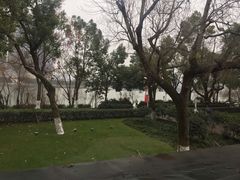 -橘洲1910花园江景西餐厅