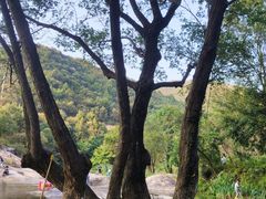 -武汉姚家山旅游景区
