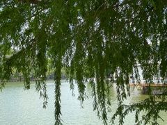 -广州市干部健康管理中心