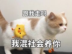 -甜心闲生传统手工冰粉(奎星楼店)