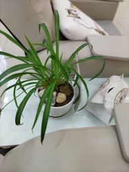 -NMS娜美莎美甲美睫皮肤管理中心