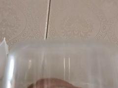 -来噻布布 Lets BUBU