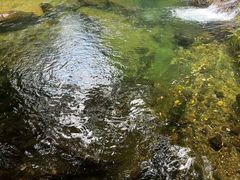 -亚婆田·白水寨生态旅游度假区