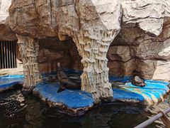-西安华夏文旅水世界