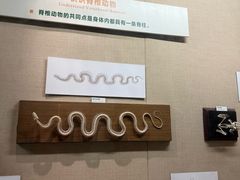 -广东省博物馆