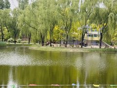 -圣露庄园·露营·烤肉·亲子