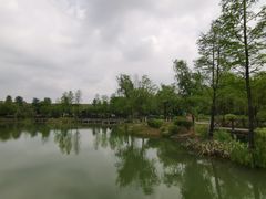 -大塘金香草谷