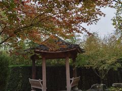 -武汉园博园(武汉自然博物馆)