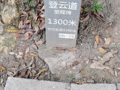 -梧桐山风景名胜区