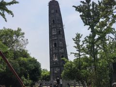 -上海佘山国家森林公园天马山园