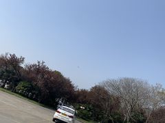 -胜华驾校·小猫学车(银都店)