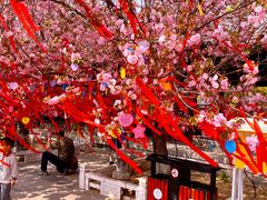 -祥源·阜阳生态乐园